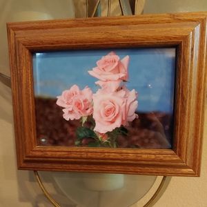10 x 8 framed rose picture